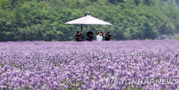 바다에풍덩 이미지